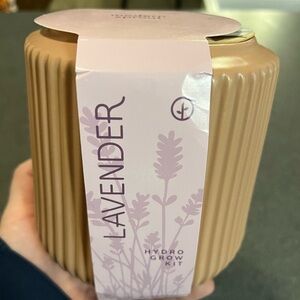 Modern Sprout Lavender Grow Kit